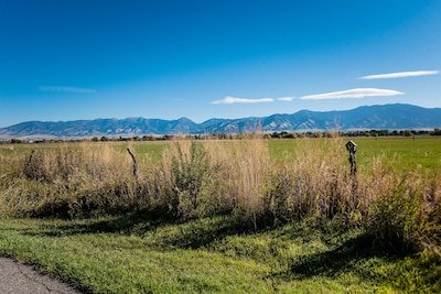 Beautiful vacation rental close to Bozeman airport, downtown, and MSU campus. 