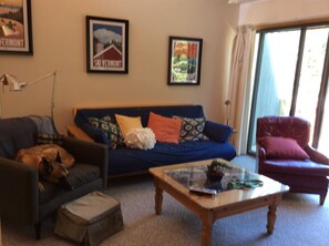 Family and dog friendly home. Cozy Living room.