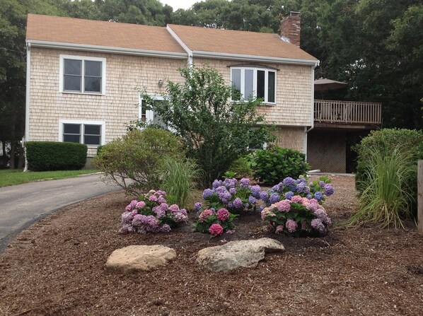 Split Level Beach House. Perfect for 2 Families!