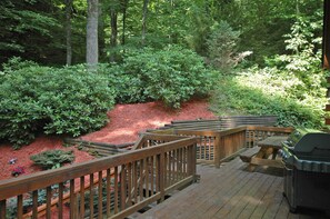 Side Porch with Picnic Table and Weber Grill