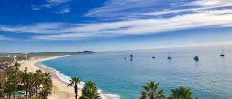 Medano beach...one of the only swimmable beaches in Cabo and San Jose! 