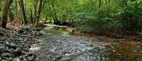 Fightingtown Creek behind the cabin.