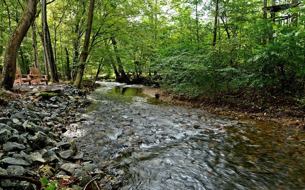 Fightingtown Creek behind the cabin.