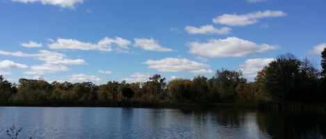 One of two fishing ponds 