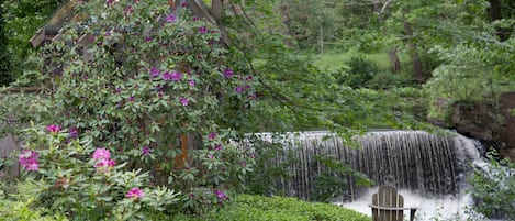 A few steps away in the backyard you will find a waterfall (& two chairs now). 