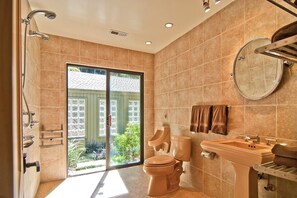 Master bathroom shower and zen garden