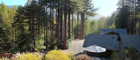 The sunny view from the upper terrace