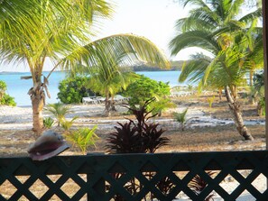 The beach is only seconds away through the garden