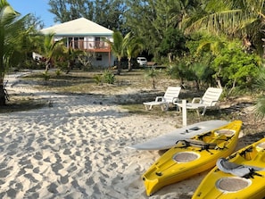 Sandy Palms from the beach