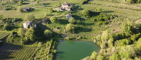 A sight of Tegline Farm from the sky with the drone