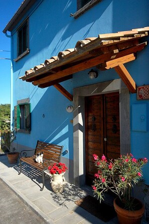 The entrance of Blue house