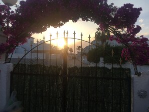 Sun set from lower terrace 
