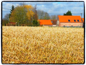 Vue extérieur du gîte à partir des chemins de ballades en campagne