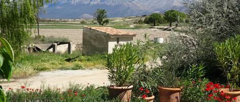 The mountain view and garden at the front of the Cortijo.