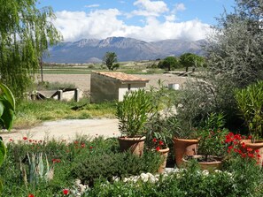 The mountain view and garden at the front of the Cortijo.