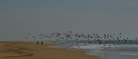 playa del rio Rada muy cerca de la casa
