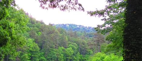 Main balcony view.