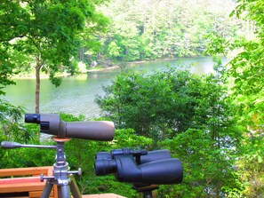 星評価なしの画像、5 / 52、ボタン