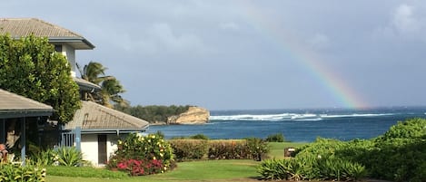 This view is 10 steps from our lanai