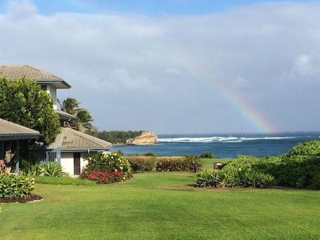 This view is 10 steps from our lanai