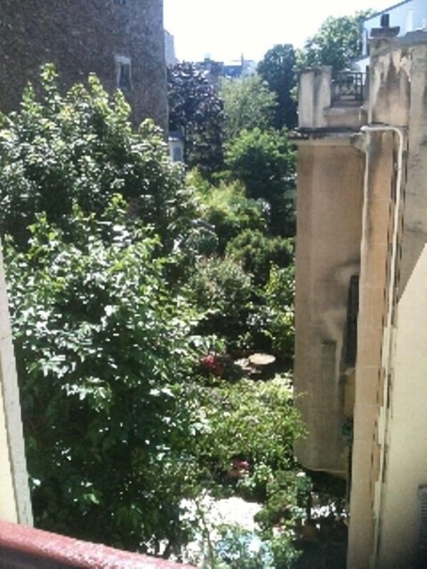 Summer. View on private gardens from the office. 