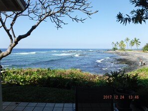 View from your lanai (back patio). 
