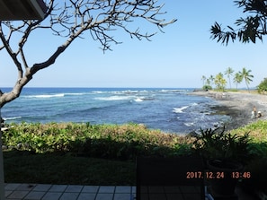 View from your lanai (back patio).