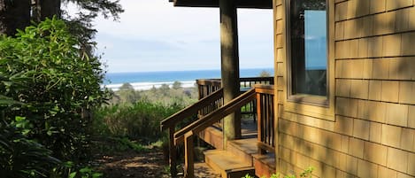 "My Guest House” is like ‘being perched in a tree house with an ocean view.’