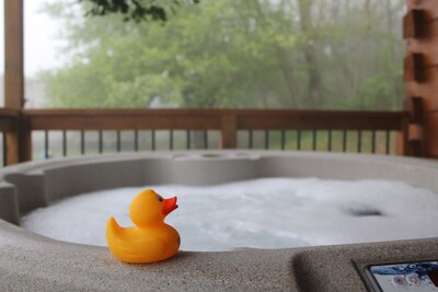 'It's Time To Unwine' HOT TUB, waterfront and viewing the BlueRidge Parkway