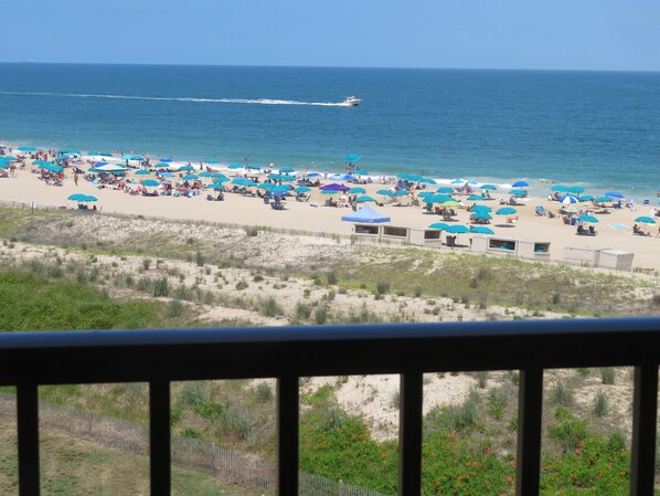Playa