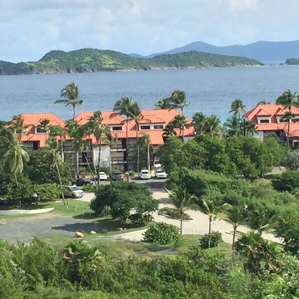 Welcome to Paradise!