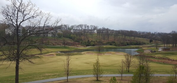View from deck!

