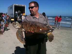 Turtle free time:kids love it every much.
Please check the calendar for kids!