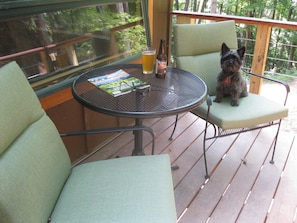Pet-Friendly Cabin