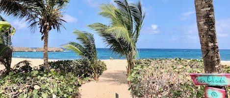 The path to paradise from your private terrace. 