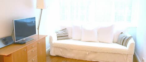 Good quality sofa/sofabed, TV, DVD, unlimited Netflix and wifi, blackout blinds 