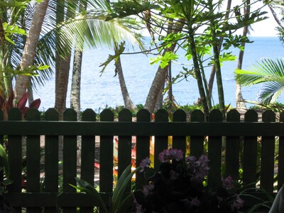 Whale House w/ AC @ Kehena Beach, Hawaii (Oceanfront)