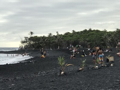 Whale House w/ AC @ Kehena Beach, Hawaii (Oceanfront)