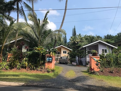 Whale House w/ AC @ Kehena Beach, Hawaii (Oceanfront)