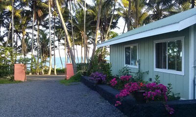 Whale House w/ AC @ Kehena Beach, Hawaii (Oceanfront)