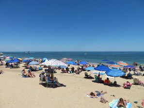 The beach looking North toward the inlet.