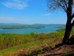 view