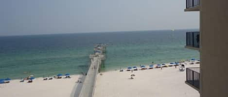 Over 700' Private Pier for Fishing and Viewing Marine Life