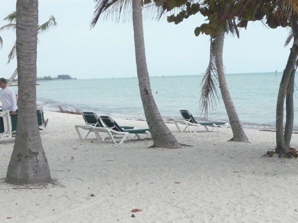 Condo located directly across from key west largest beach!