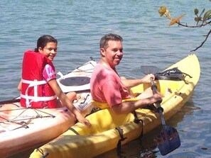 Free Kayaks use! A favorite Blue Starfish tradition -- Explore picturesque Lemon Bay and hunt for dolphins!