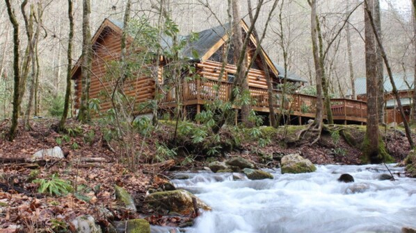 Cabin with beautiful view of Collett Creek.