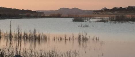 View of Canyon Lake from cove