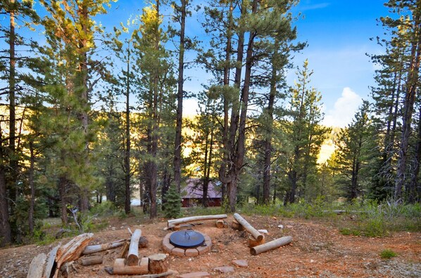 Exterior-Fire Pit-_DSC8941