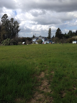 view of house from the meadow