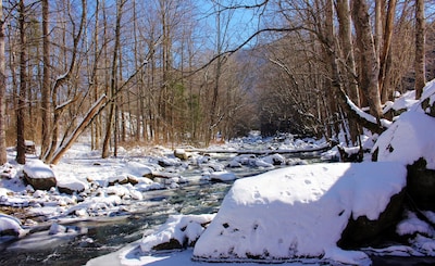 Luxurious romantic Blue Ridge Mountain retreat w/creek/pond/hiking/fishing